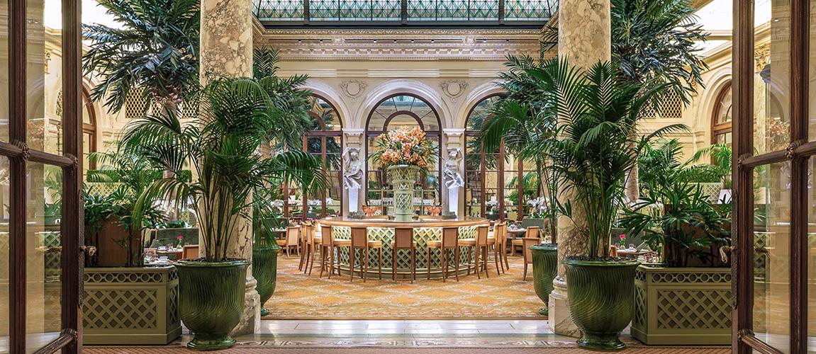 The Plaza New York City Palm Court