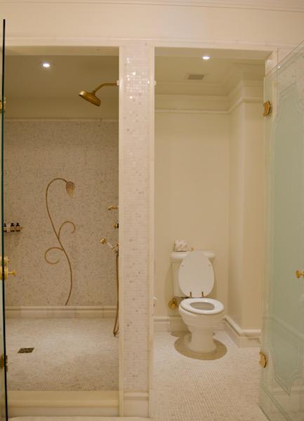 The Plaza New York City Toilet Closet 