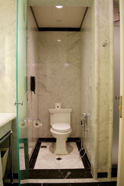 Master Bathroom Toilet