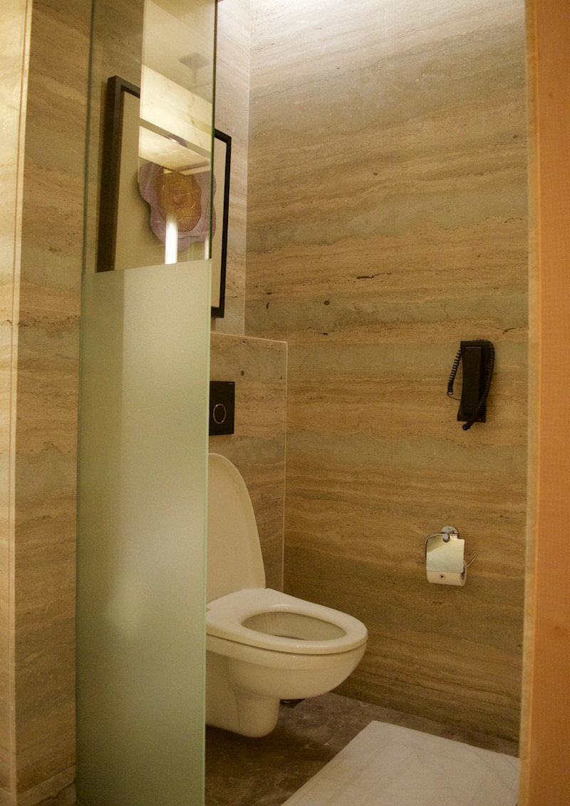 Partially Partitioned Toilet 
