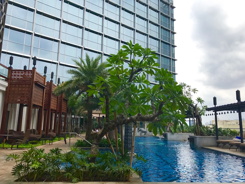 Tropical Setting In The City 