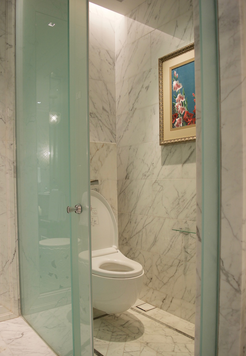 Separate Water Closet With Toilet And Bidet 