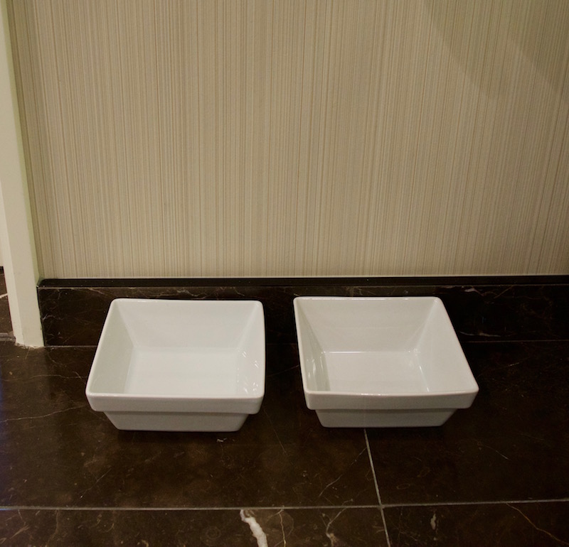 Water Bowls For Rocco And Margo 