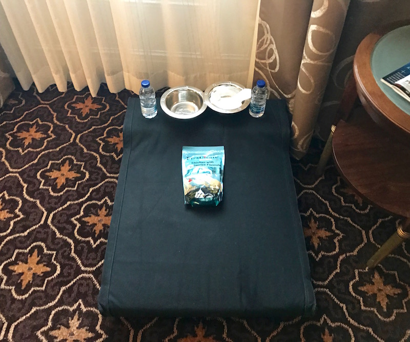 Pet Amenities - Nice Touch!