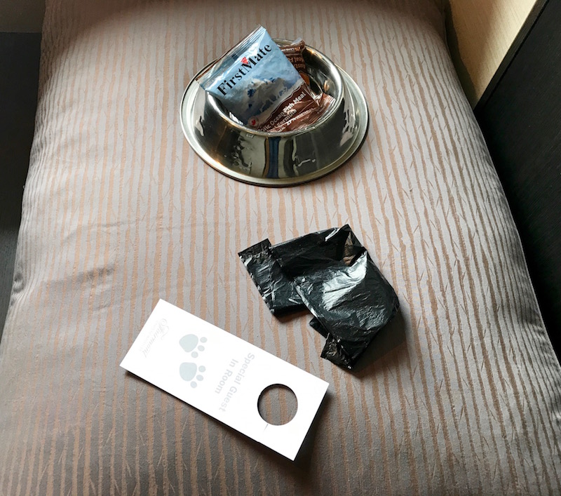 Pet Amenities On Arrival