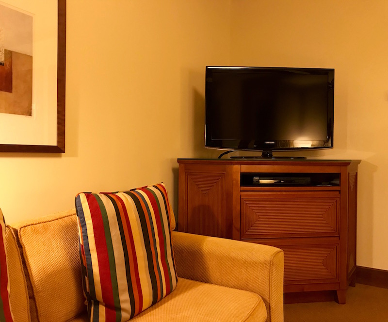 Living Room Television
