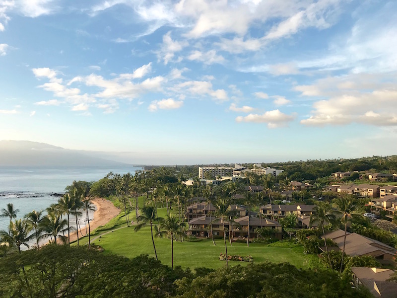 Or Use Them For A Luxury Resort On Maui