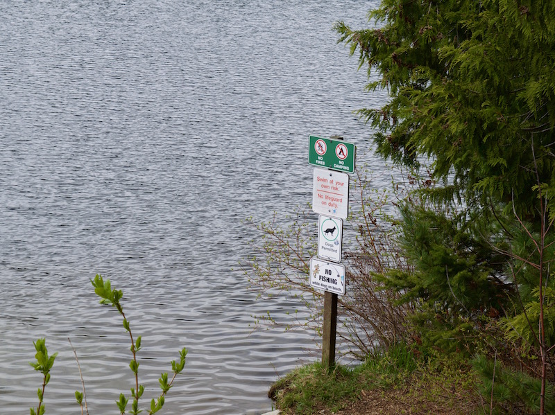 Lost Lake Loop Off Leash Area