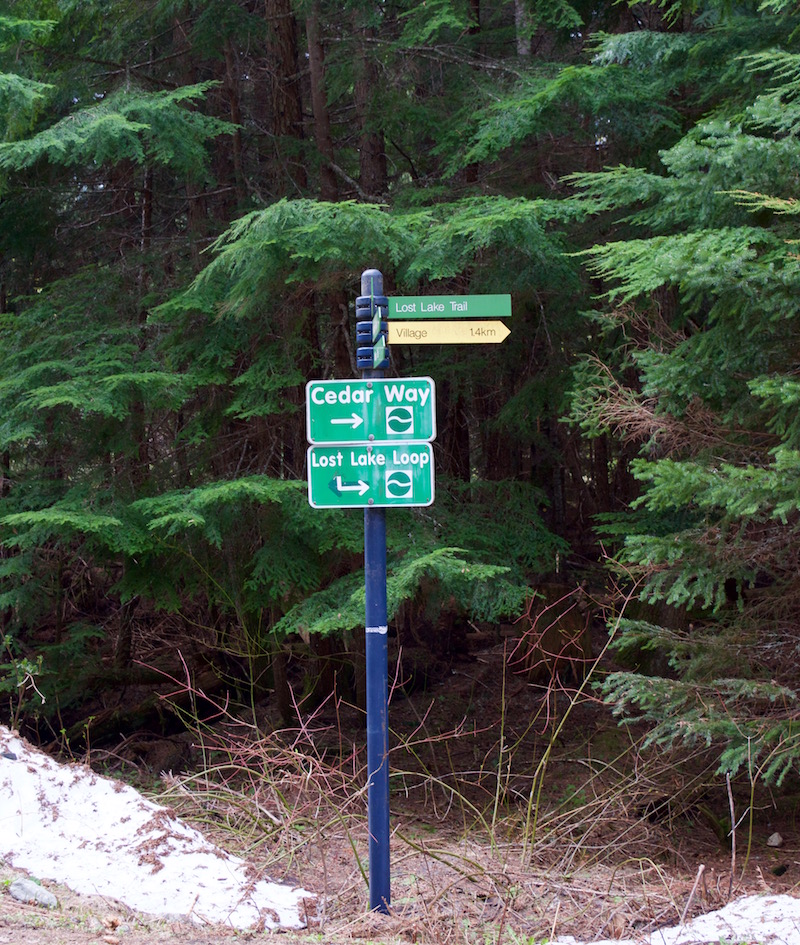 Lost Lake Loop Trail Marker
