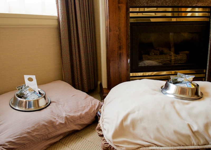 Welcome Amenities For Margo And Rocco