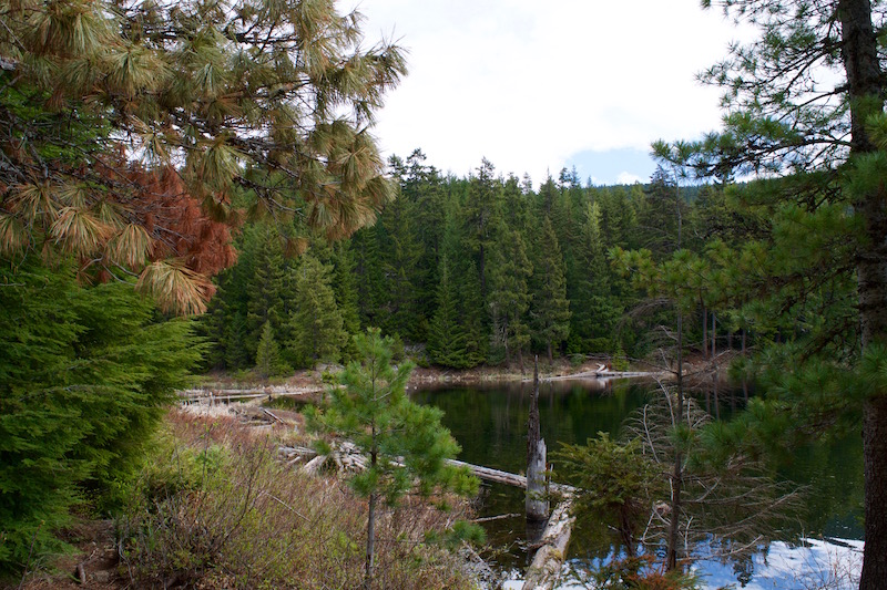 Views From The Lost Lake Loop
