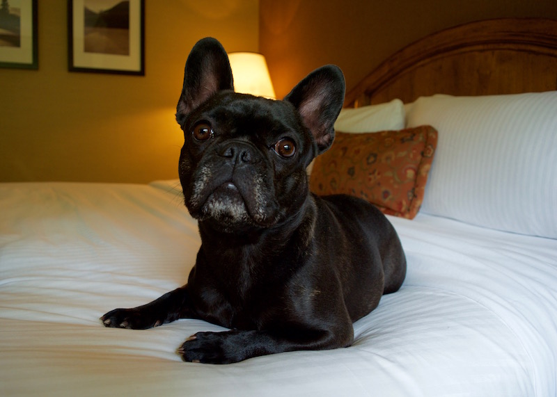Margo Chooses The Bed She Will Actually Be Sleeping In