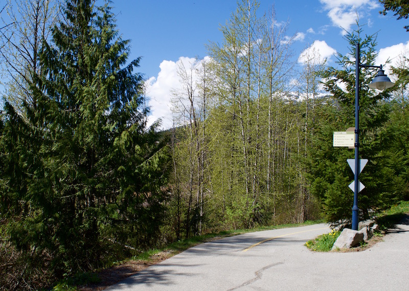Whistler Golf Club Trail