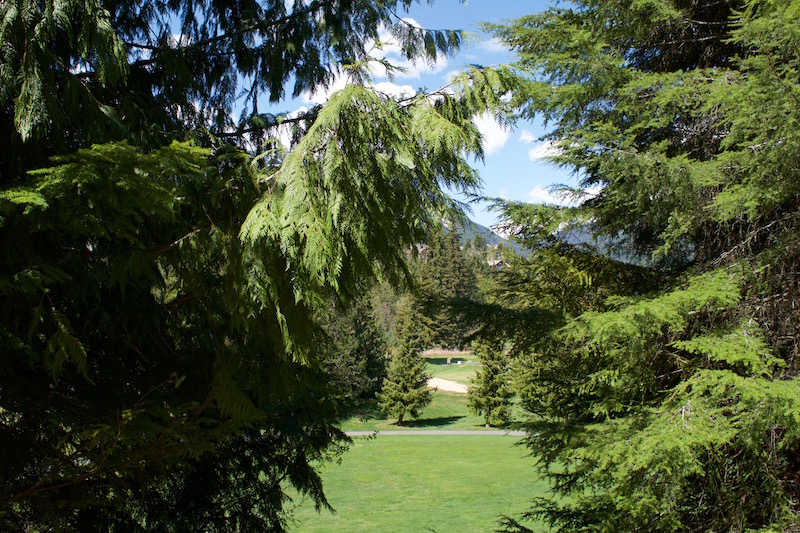 Views Along The Whistler Golf Club Path